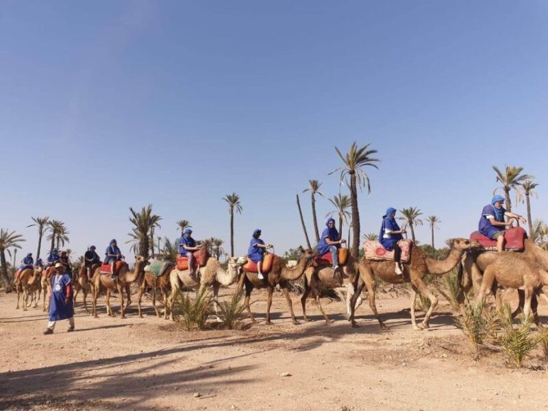 Marrakech Palmeraie: Camel Ride at Sunset - Tour Inclusions