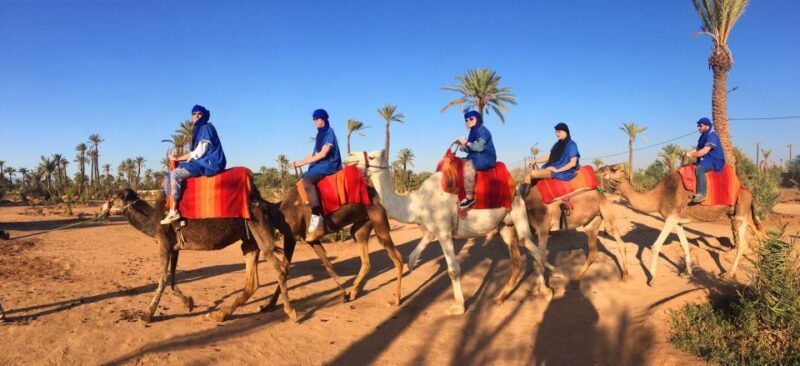 Marrakech Palmeraie: Camel Ride at Sunset - Customer Ratings and Reviews
