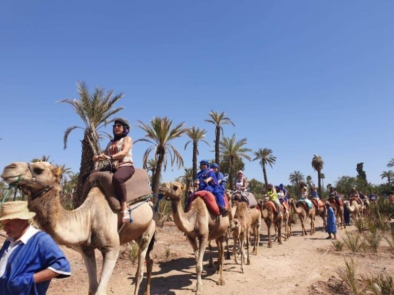Marrakech Palmeraie: Camel Ride at Sunset - Participant Eligibility