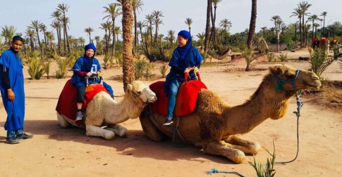 Marrakech Palmeraie: Camel Ride & Quad Bike Experience - Booking and Cancellation