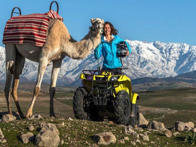 Marrakech Palmeraie : Exciting Camel Ride & Quad Bike - Camel Ride Highlights