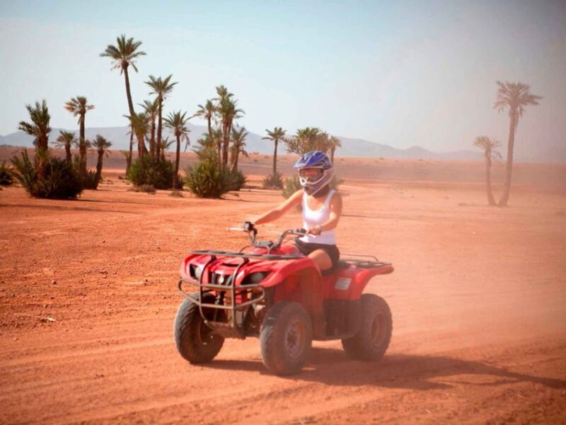 Marrakech Palmeraie : Exciting Camel Ride & Quad Bike - Cultural Immersion Opportunities