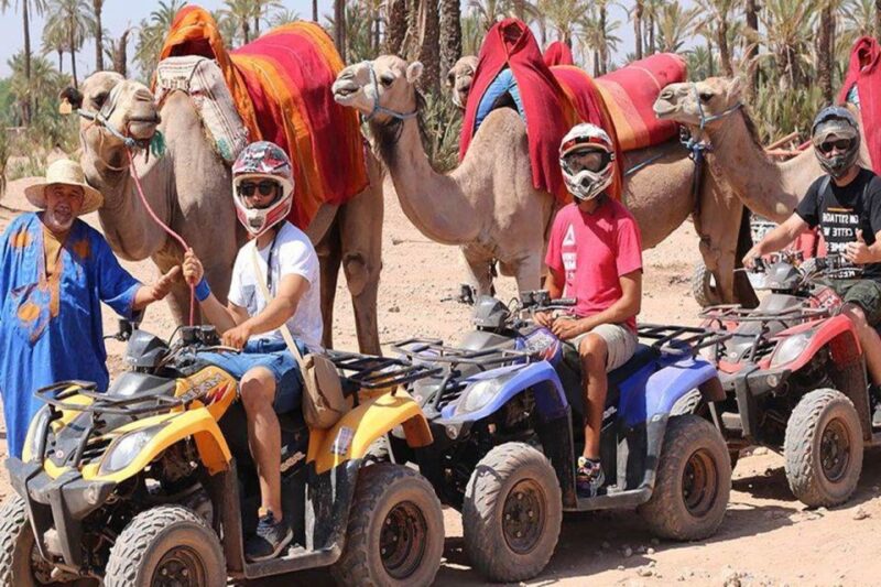 Marrakech Palmeraie : Exciting Camel Ride & Quad Bike - Suitability and Language Options