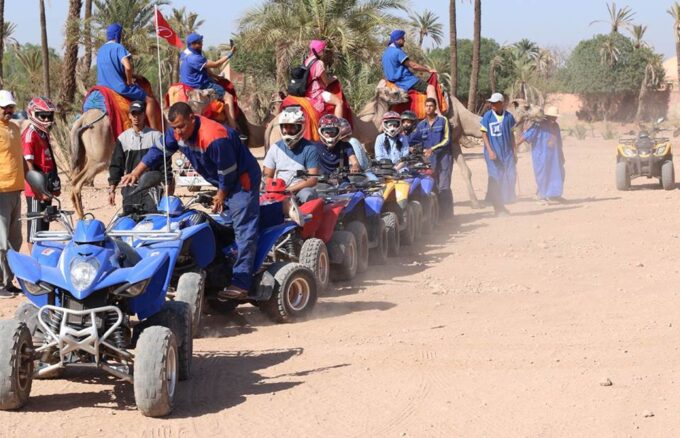 Marrakech Palmeraie : Exciting Camel Ride & Quad Bike - Customer Feedback and Ratings