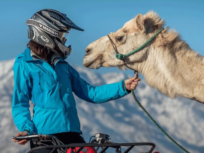 Marrakech Palmeraie : Exciting Camel Ride & Quad Bike - Frequently Asked Questions