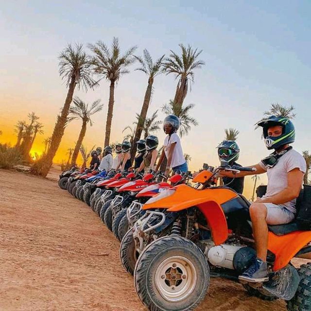 Marrakech: Palmerie Quad Biking Tour - Key Points