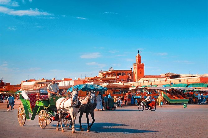 Marrakech Private Full Day City Tour With a Driver - Customer Reviews