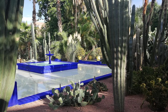 Marrakech: Private Guided Half-Day City Tour - Tour Company Reviews