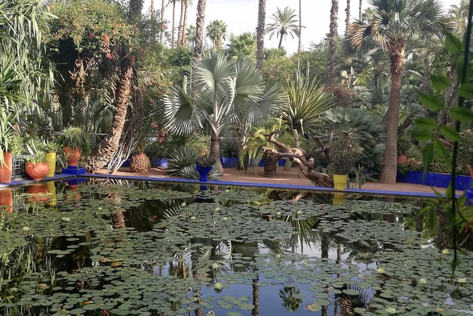 Marrakech: Private Guided Half-Day City Tour - Additional Tour Information