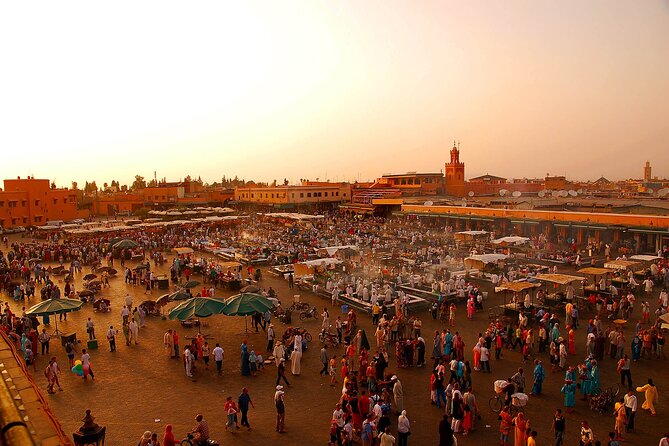 Marrakech : Private Guided Half-Day City Tours - Booking Your Tour