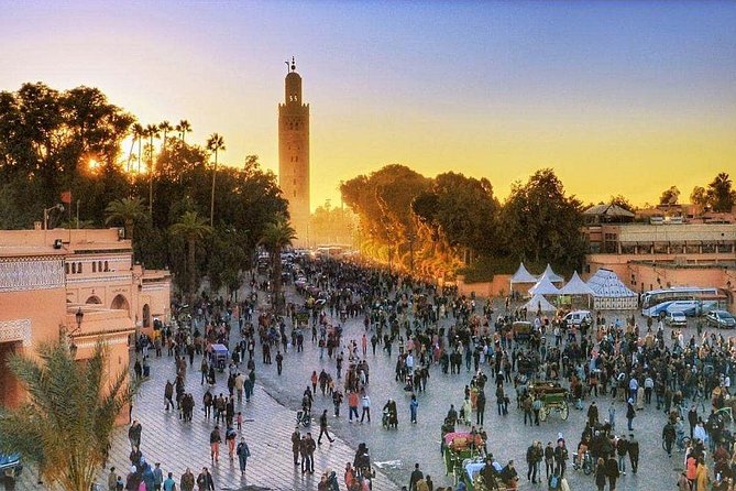 Marrakech: Private Guided Half-Day City Tours - Inclusions and Pricing