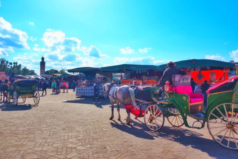 Marrakech: Private Half-Day City Highlights Tour - Key Points