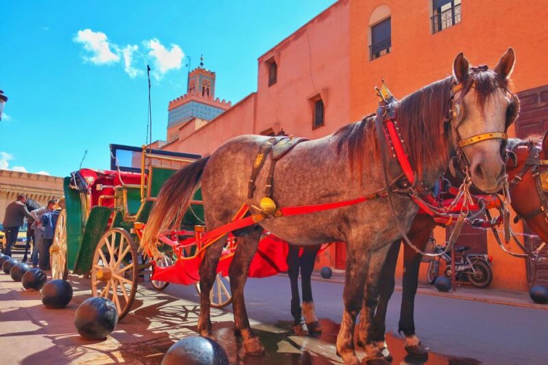 Marrakech: Private Half-Day City Highlights Tour - Frequently Asked Questions