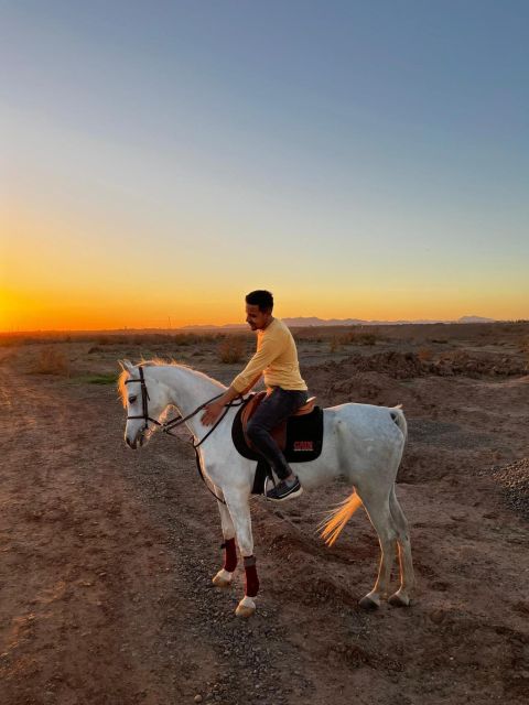 Marrakech: Private Horseback Tour in the Palm Grove With Tea - Key Points