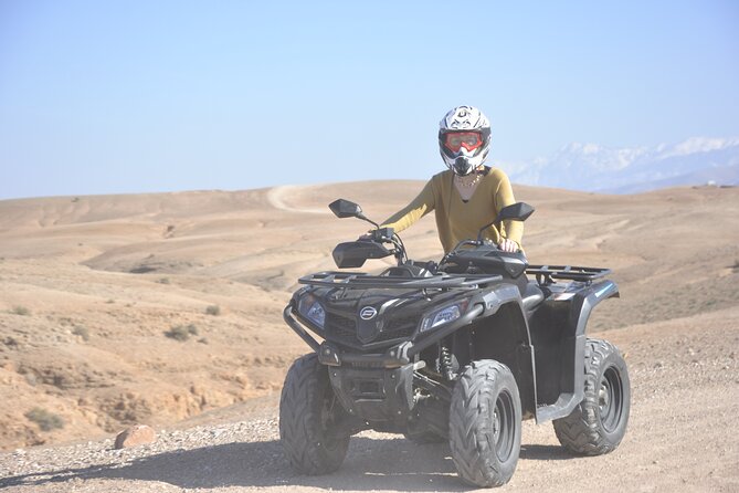 Marrakech: Private Tour in 4-Seater Buggy to the Palm Grove With Tea - Inclusions and Pricing