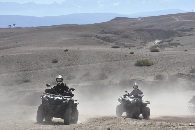 Marrakech: Private Tour in 4-Seater Buggy to the Palm Grove With Tea - Buggy Experience