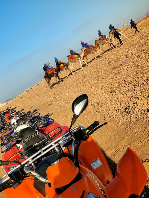Marrakech: Quad Activity in the Palmeraie With Tea Break - Cultural Immersion