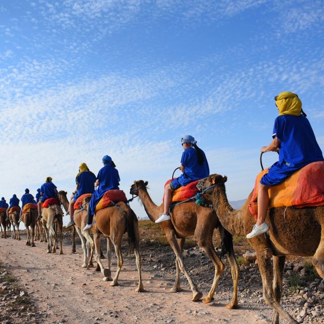 Marrakech: Quad Bike and Camel Ride in Marrakech - Availability and Scheduling
