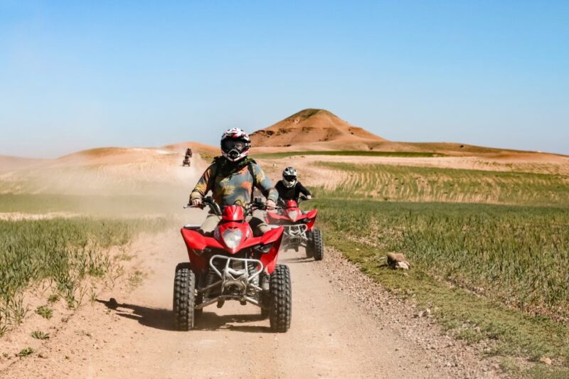 Marrakech Quad Bike Experience: Desert and Palmeraie - Experience Details