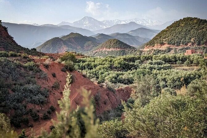 Marrakech: Quad Bike, Sunset, and Dinner Show in Agafay Desert - Final Thoughts