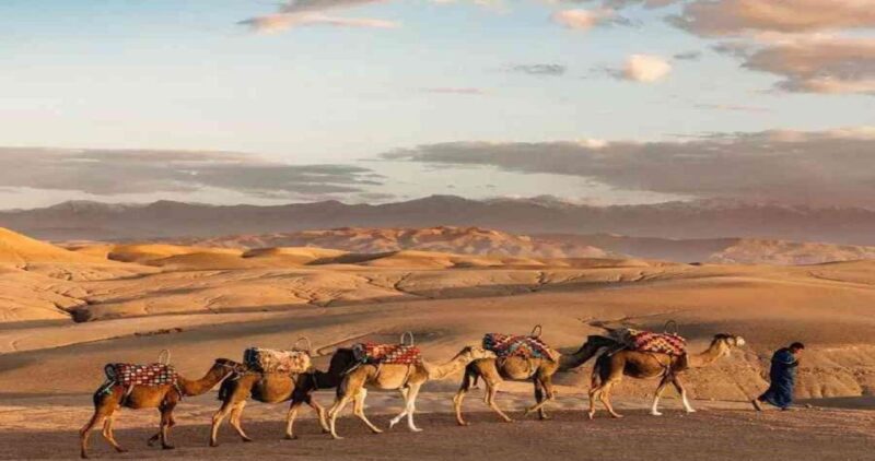Marrakech: Quad Biking in Agafay Desert With Lunch ,Pool - Itinerary Highlights