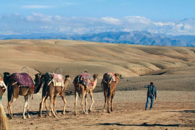 Marrakech: Quad Biking in Agafay Desert With Lunch ,Pool - Local Cuisine and Relaxation