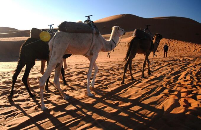 Marrakech: Sahara Desert 3-Day Trip - Frequently Asked Questions
