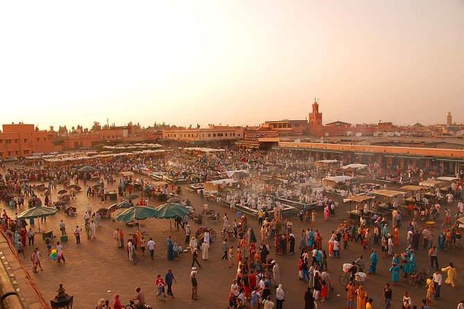 Marrakech Shore Excursion From Agadir - Transportation and Accessibility