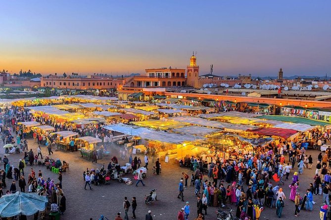 Marrakech Shore Excursion From Agadir - Planning Your Marrakech Adventure