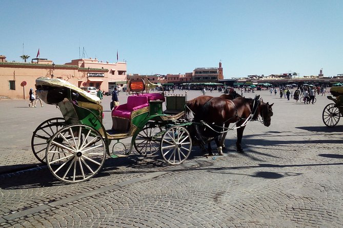 Marrakech Sightseeing Tour With Driver - Key Attractions and Highlights