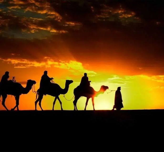 Marrakech: Sunrise Desert Tour With Camel Ride and Breakfast - Customer Reviews and Ratings