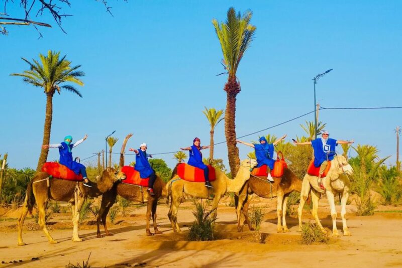 Marrakech: Sunset Camel Ride in Palmeraie - Transportation Details