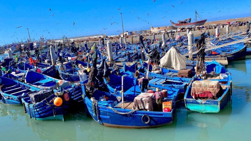 Marrakech to Essaouira: Day Trip With Lunch and Wine Tasting - Culinary Experience