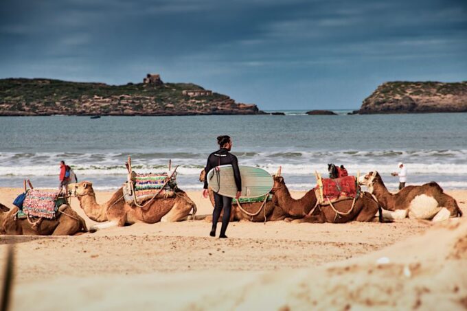 Marrakech to Essaouira: Day Trip With Lunch and Wine Tasting - Whats Included