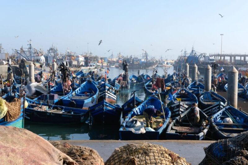 Marrakech To Essaouira Fully Day Tour - Key Points