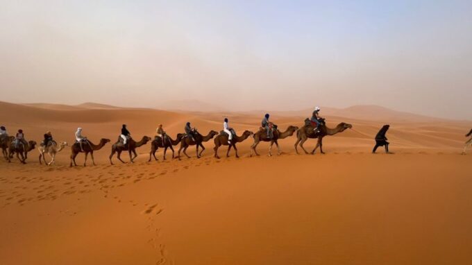 Marrakech to Fes: 3-Day Desert Adventure via Merzouga - Languages