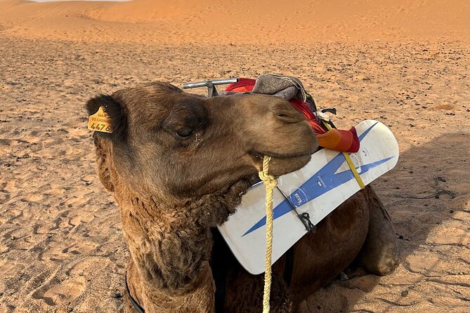 Marrakech To Fes 3 Day Sahara Desert Group Tour - Discovering the Atlas Mountains