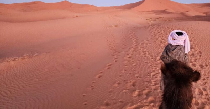 Marrakech to Fes via the Sahara Desert in 3 Days - Experience and Activities