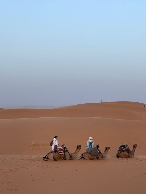 Marrakech to Fez via Merzouga Desert 4 Days Sahara Tour - Key Points