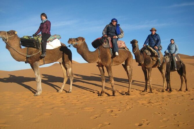 Marrakech to Merzouga: 3-Day Desert Journey to Erg Chebbi - Positive Traveler Reviews