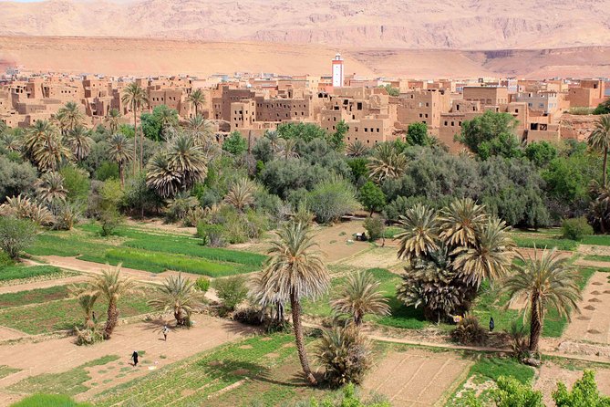 Marrakech to Merzouga: 3-Day Desert Journey to Erg Chebbi - Itinerary Day 3