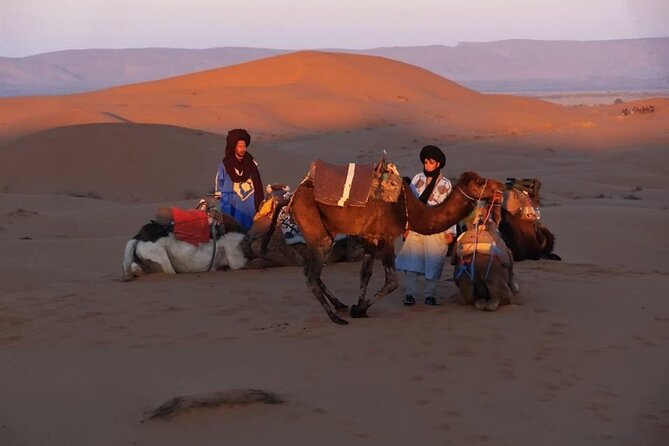 Marrakech to Merzouga 3 Day Desert Safari - Camel Ride Experiences