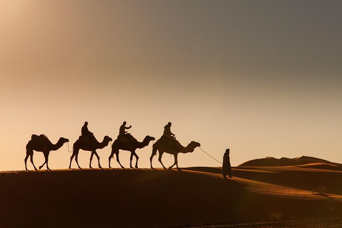 Marrakech to Merzouga 3-Days Desert Safari Shared - Activity Highlights