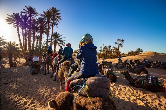 Marrakech to Merzouga 3-Days Group Desert Tour - Inclusions and Exclusions