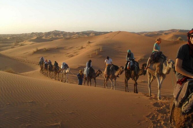 Marrakech to Merzouga 3-Days Group Desert Tour - Pickup and Departure Details