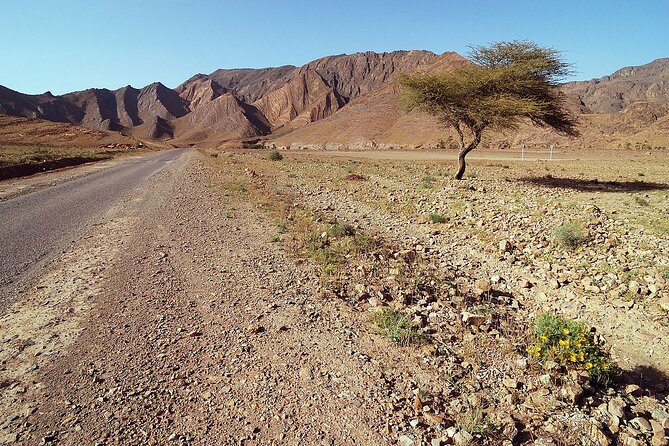 Marrakech to Merzouga 3-Days Group Desert Tour - Tips for a Great Experience