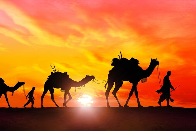 Marrakech to Merzouga Desert 3-Day via the High Atlas Mountains - Reviews