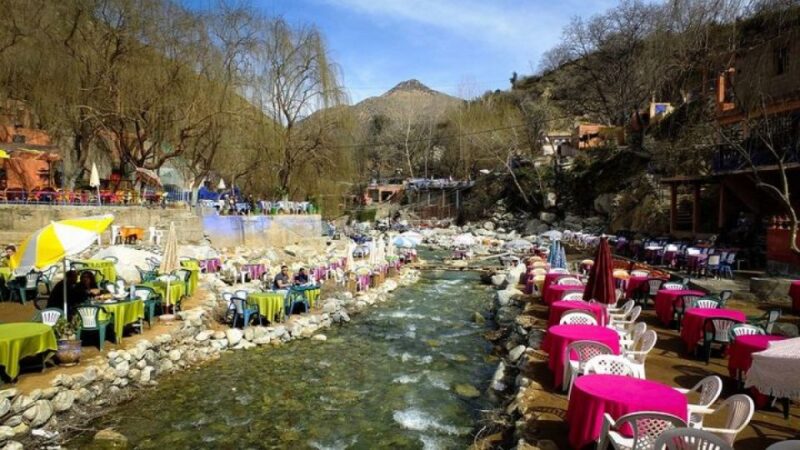Marrakech to Ourika Valley Full Day Trip - Key Points