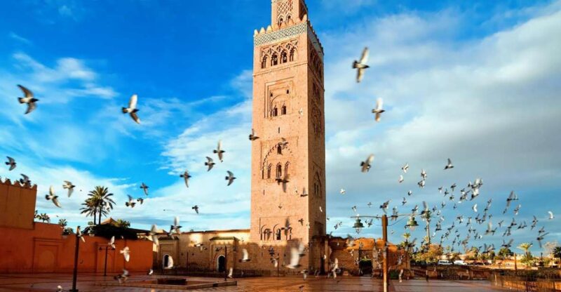 Marrakech: Tour of Majorelle and Menara Gardens - Key Points