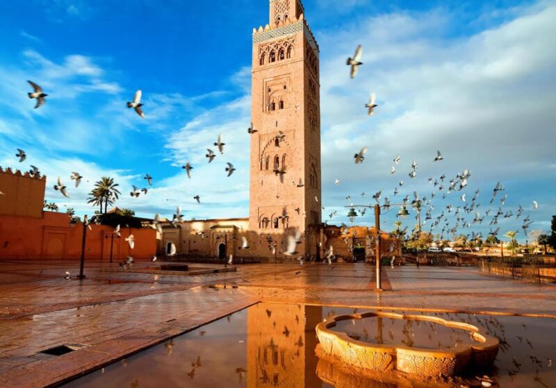 Marrakech: Tour of Majorelle and Menara Gardens - Itinerary and Experience